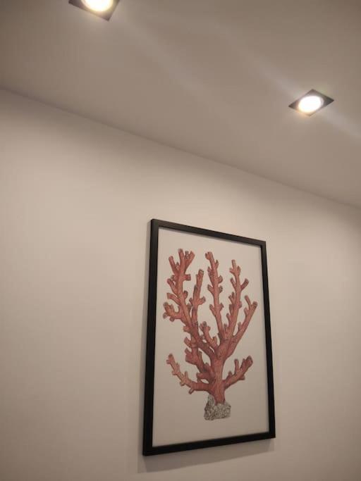 Apartmán Dimora Cutelli CTA Exteriér fotografie